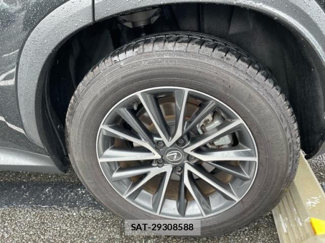 Lexus NX 2024-02 7328049-9