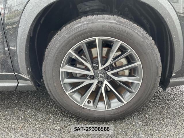 Lexus NX 2024-02 7328049-10