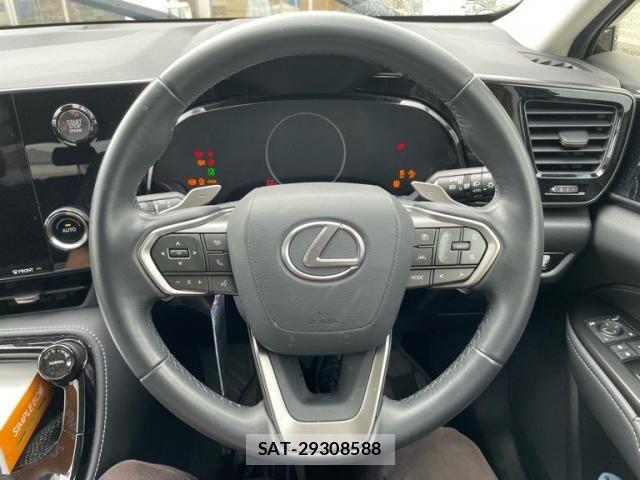 Lexus NX 2024-02 7328049-19