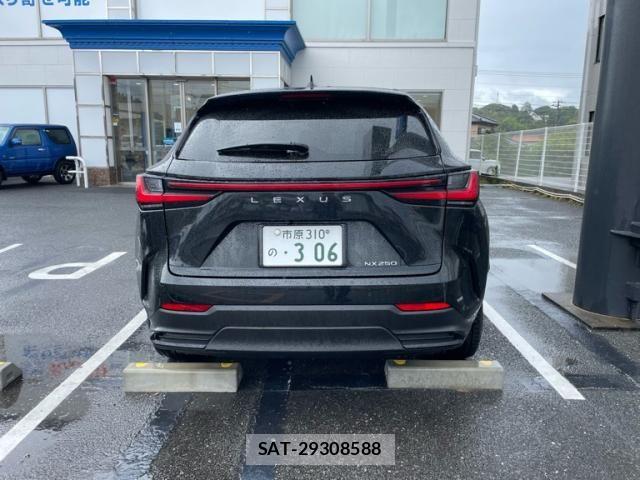 Lexus NX 2024-02 7328049-4