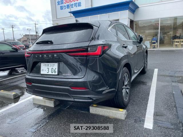 Lexus NX 2024-02 7328049-5