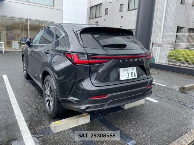 Lexus NX 2024-02 7328049-6