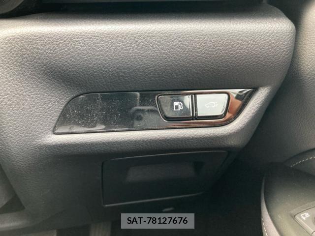 Lexus NX 2024-02 7455423-13