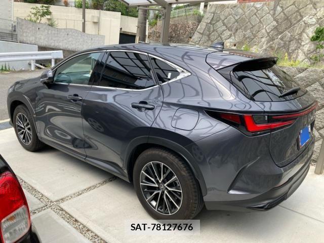 Lexus NX 2024-02 7455423-1