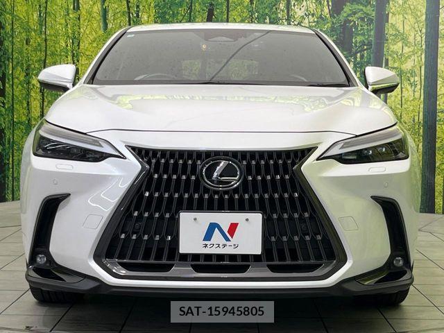 Lexus NX 2022-10 7455424-12
