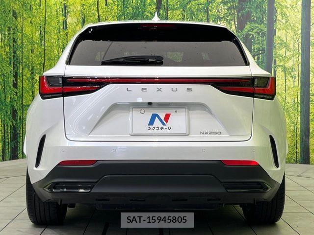Lexus NX 2022-10 7455424-13