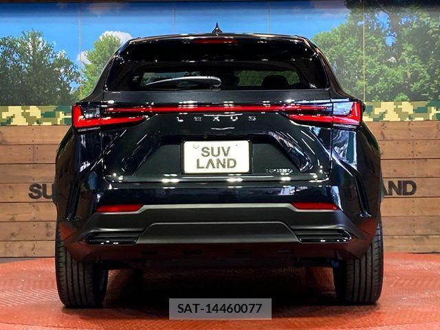 Lexus NX 2023-02 7501287-14