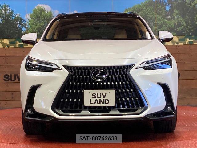 Lexus NX 2023-10 7501289-13