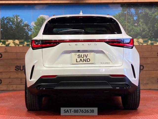 Lexus NX 2023-10 7501289-14