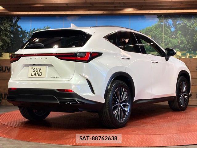 Lexus NX 2023-10 7501289-16