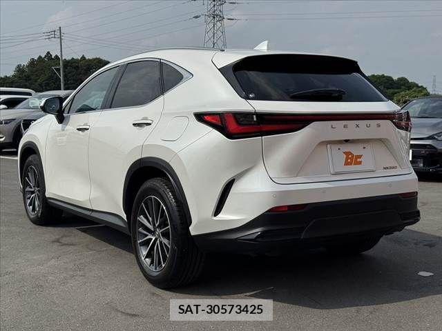 Lexus NX 2023-03 7617683-12