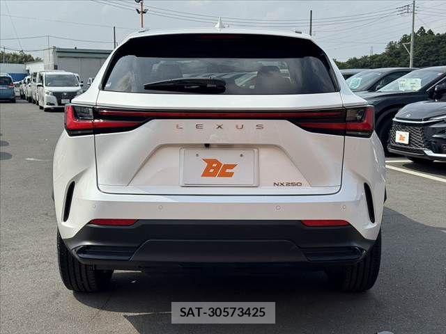 Lexus NX 2023-03 7617683-13