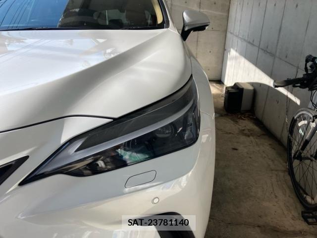Lexus NX 2024-06 7617682-2