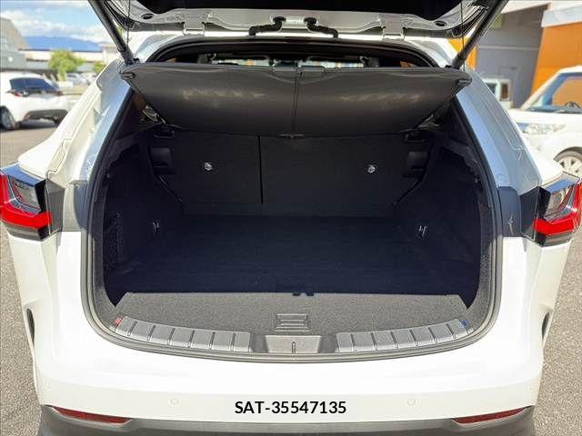 Lexus NX 2023-09 7617681-18