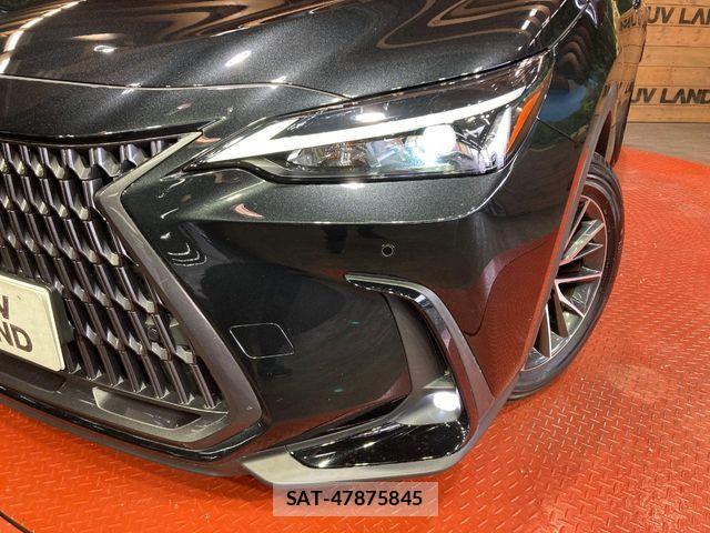 Lexus NX 2024-07 7725101-11