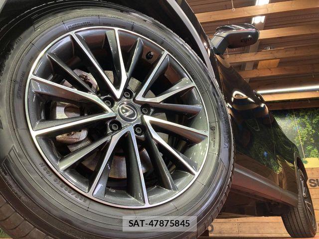 Lexus NX 2024-07 7725101-12
