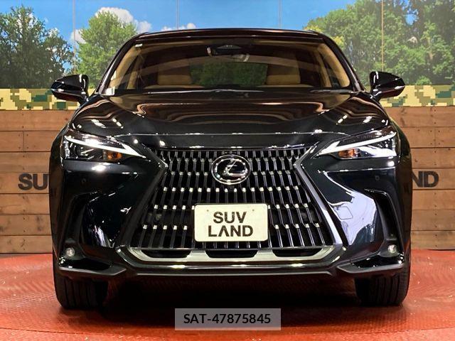 Lexus NX 2024-07 7725101-13
