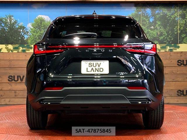 Lexus NX 2024-07 7725101-14