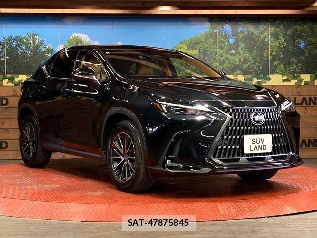Lexus NX 2024-07 7725101-15