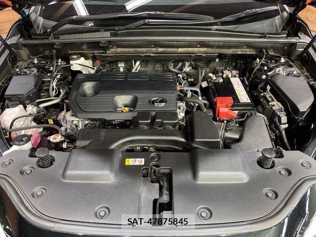 Lexus NX 2024-07 7725101-17