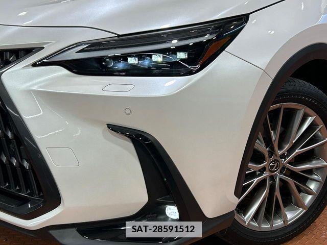Lexus NX 2023-09 7725097-11