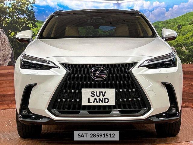 Lexus NX 2023-09 7725097-13