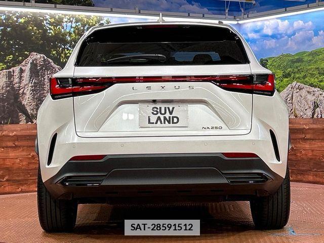 Lexus NX 2023-09 7725097-14