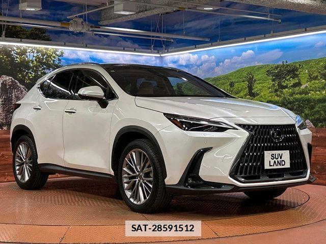 Lexus NX 2023-09 7725097-15