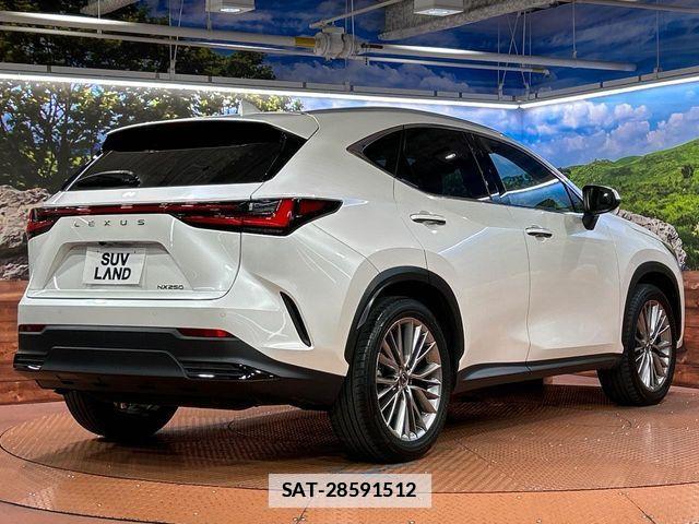 Lexus NX 2023-09 7725097-16