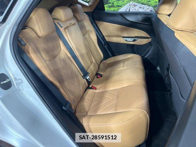 Lexus NX 2023-09 7725097-7