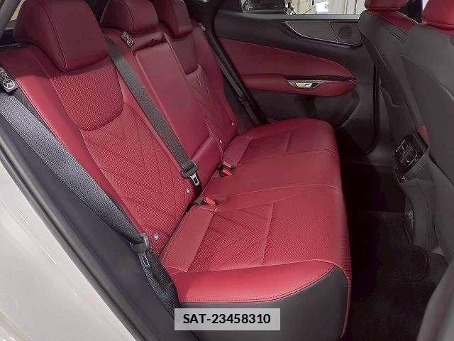Lexus NX 2024-12 7786531-10