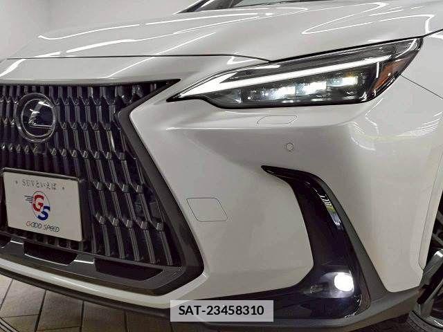 Lexus NX 2024-12 7786531-11