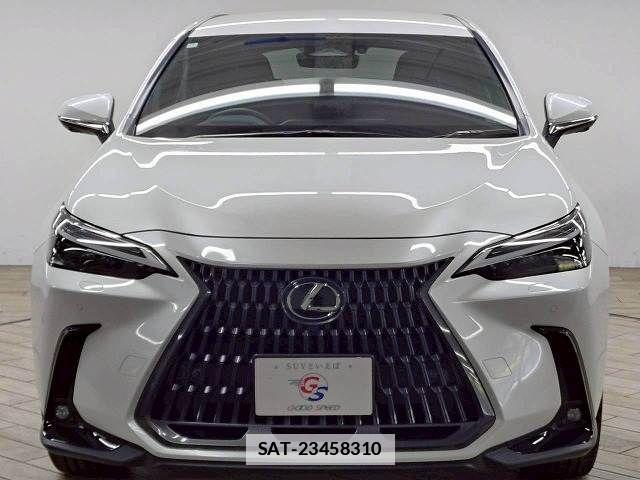 Lexus NX 2024-12 7786531-14