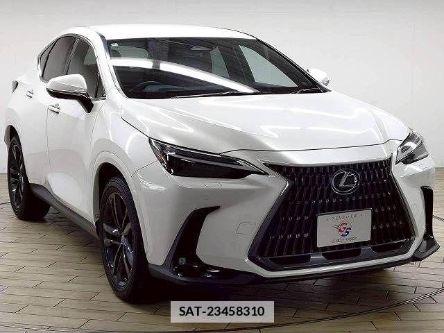 Lexus NX 2024-12 7786531-15