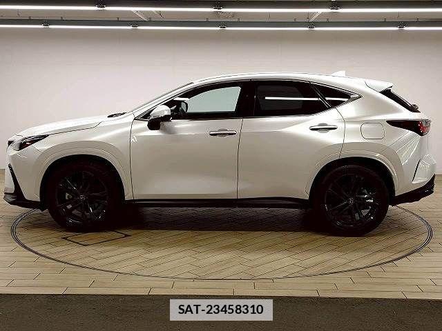 Lexus NX 2024-12 7786531-16