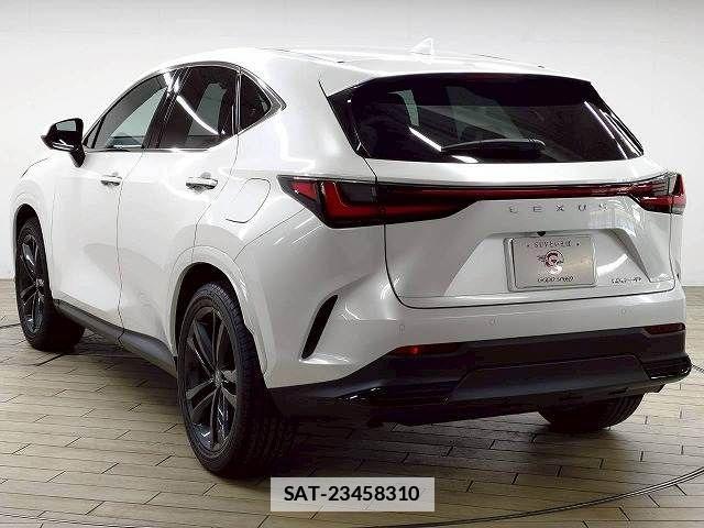 Lexus NX 2024-12 7786531-17