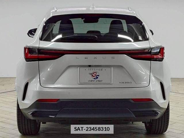 Lexus NX 2024-12 7786531-18