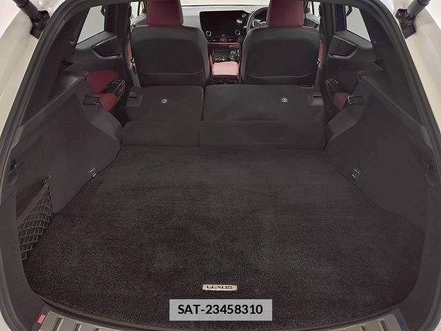 Lexus NX 2024-12 7786531-19