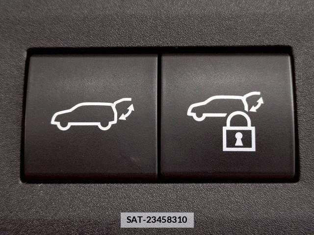 Lexus NX 2024-12 7786531-6