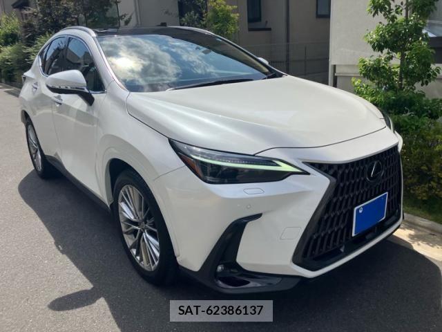 Lexus NX 2024-06 8100147-0