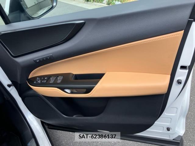 Lexus NX 2024-06 8100147-12