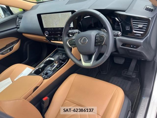 Lexus NX 2024-06 8100147-14