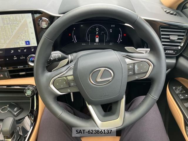 Lexus NX 2024-06 8100147-15