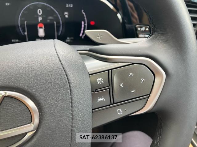 Lexus NX 2024-06 8100147-17