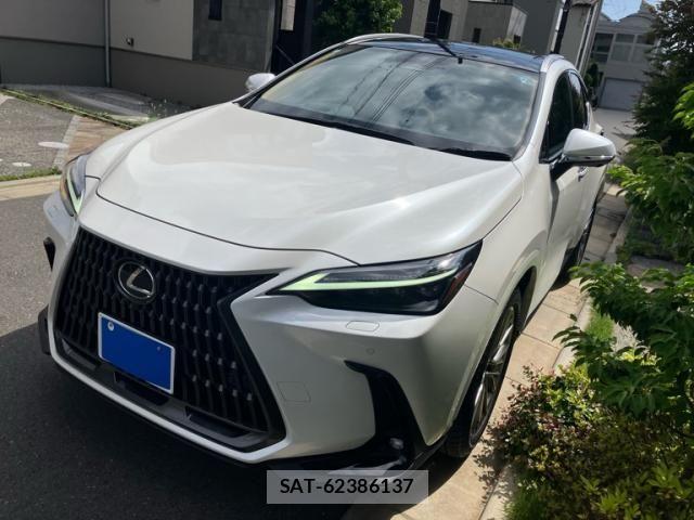 Lexus NX 2024-06 8100147-1