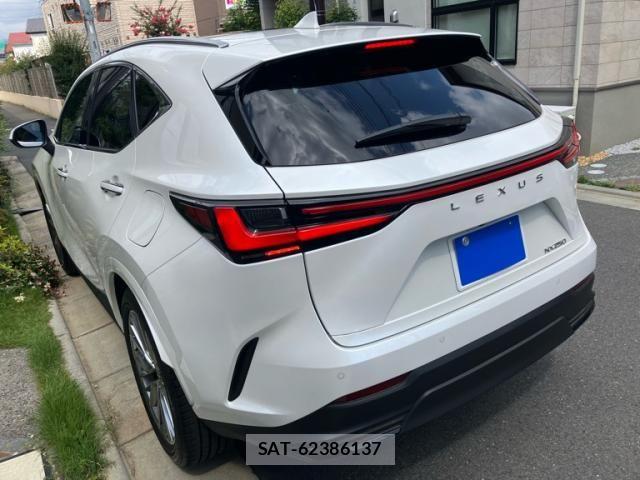 Lexus NX 2024-06 8100147-6