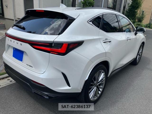 Lexus NX 2024-06 8100147-7