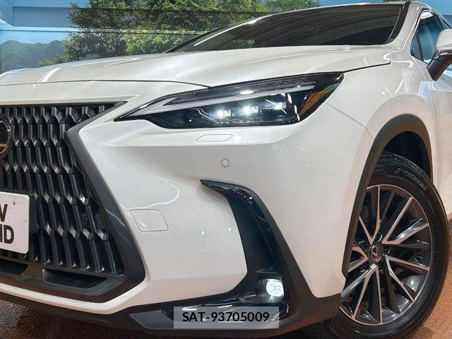 Lexus NX 2023-08 8100149-11