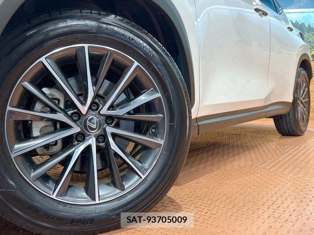 Lexus NX 2023-08 8100149-12