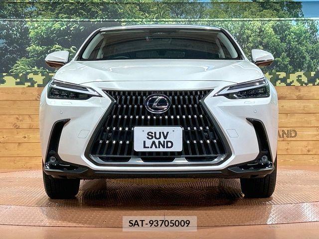 Lexus NX 2023-08 8100149-13